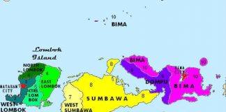 Total Kasus Positif Covid 19 di NTB Jadi 55 Orang