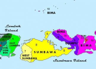 Total Kasus Positif Covid 19 di NTB Jadi 55 Orang
