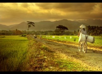 Dana Desa Bisa Untuk Pembuatan Peta Desa