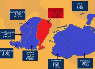 Beritakan Korona, Jurnalis Lotim Dituntut Profesional dan Selalu Waspada