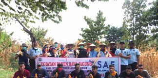 Lapas Kelas IIB Selong Gelar Panen Raya Jagung