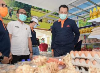 Pramuka Agar Jadi Penggerak Utama Ketersediaan Pangan di Musim Korona