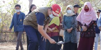 100.000 Pullet, Awal Industri Peternakan di NTB