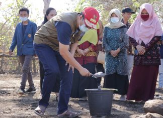 100.000 Pullet, Awal Industri Peternakan di NTB