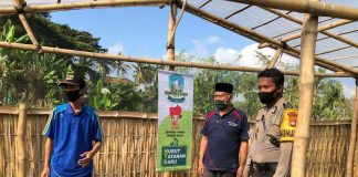 Benih Kuripan Tingkatkan Hasil Pertanian