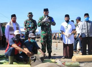 Kasad Menyerahkan 16 Hewan Kurban Untuk Masyarakat Pulau Bungin Sumbawa