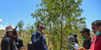 Hutan Lamtoro, Pakan Ternak yang Asri