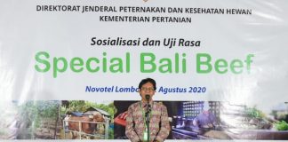 NTB Temukan Varietas Sapi Unggul
