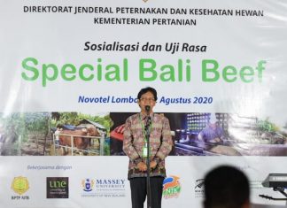 NTB Temukan Varietas Sapi Unggul