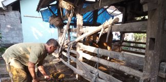 Satu Lahan Tiga Bidang