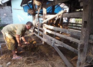 Satu Lahan Tiga Bidang
