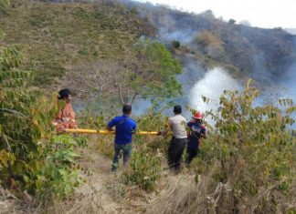 Lahan Di Gunung Bako Lombok Tengah Terbakar
