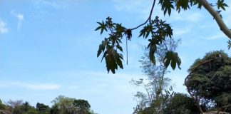 Pranata Peninggalan Leluhur