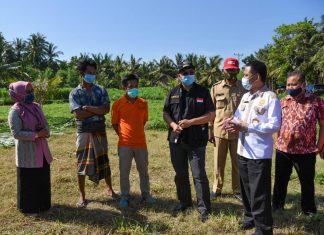 Desa Mertak Miliki Lahan Pakan Ternak