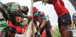 Pohon Kurangi Polusi