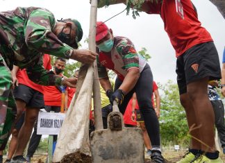 Pohon Kurangi Polusi