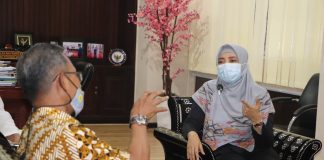 Wagub Minta PLN Tuntaskan Dusun Belum Berlistrik