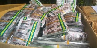 Lagi, BB POM Mataram Sita Ribuan Obat Palsu