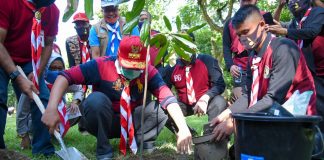 Hijaukan NTB dengan Sejuta Pohon