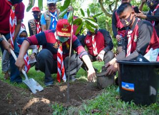 Hijaukan NTB dengan Sejuta Pohon