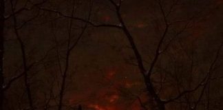 PETUALANGAN DUA ANTROPOLOG AUSTRALIA BERBURU LÉAK DI LOMBOK (Bagian 3)