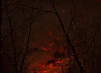 PETUALANGAN DUA ANTROPOLOG AUSTRALIA BERBURU LÉAK DI LOMBOK (Bagian 3)