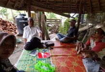 Pupuk Langka, Petani Merana