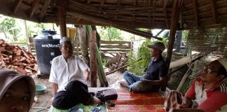 Pupuk Langka, Petani Merana