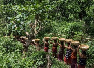 Fujishiro Tsunemi dan Ritual Adat Bayan