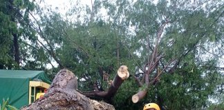 Soal Puting Beliung,BPBD Lotim : Kami Masih Asesment