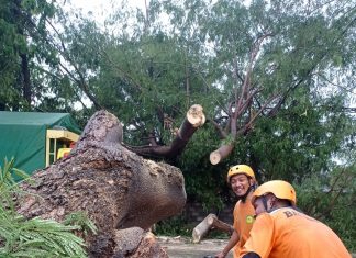 Soal Puting Beliung,BPBD Lotim : Kami Masih Asesment
