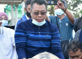 Kunjungi Mapak Indah, Gubernur Lepas Penyu dan Bersih Pantai