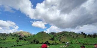 Penanganan Hutan Harus Berorientasi Kesra