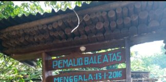 Meruwat Polong Renten