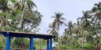 IKSI Lombok Timur Meningkat