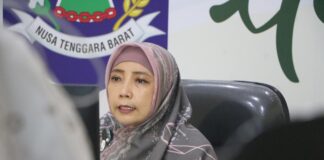 Posyandu, Pusat Edukasi dan Solusi Permasalahan Kesehatan