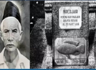 Iwan Dalauk: Penemu Spesies Ikan Mujair