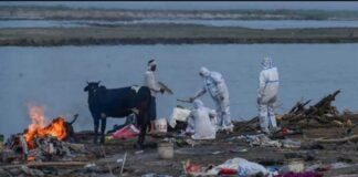 Sungai Gangga Banjir Mayat, India Tebar Jaring Cegah Penyebaran Covid 19