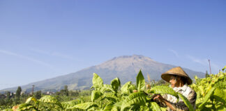 Nangis Dalem Petani Mako (Elegi Kaum Miskin yang Tangguh)