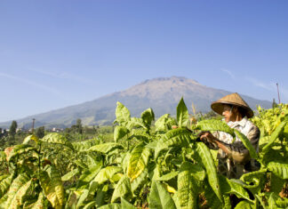 Nangis Dalem Petani Mako (Elegi Kaum Miskin yang Tangguh)
