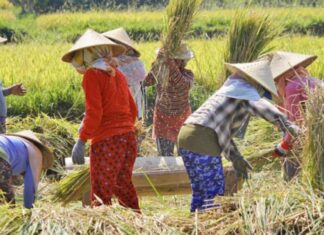 Potret Nilai Tukar Petani NTB 2019-2020
