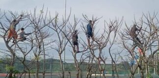 BUKAN MILIK KITA : Kepada Mereka yang Dikalahkan