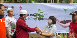 Tanam 500 Bibit Pohon, Aruna Senggigi Peringati Hari Menanam Pohon Sedunia