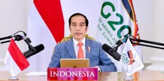 Ini Alasan Presiden Jokowi Hentikan Ekspor Nikel