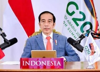 Ini Alasan Presiden Jokowi Hentikan Ekspor Nikel