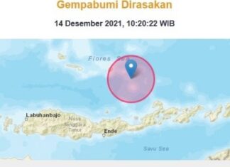 Gempa Bumi 7,4 SR Guncang Laut Flores, Waspada Tsunami