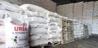 Lalu Kasturi SP: Tidak Ada Kelangkaan Pupuk Subsidi di Lombok Timur