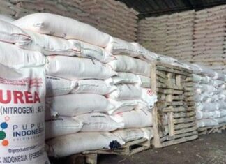 Lalu Kasturi SP: Tidak Ada Kelangkaan Pupuk Subsidi di Lombok Timur