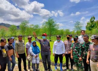 Cegah Banjir dan Hutan Gundul, Gubernur Ajak Warga Dompu Tanam Kelor