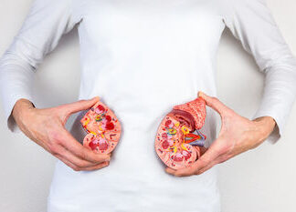 1954: Transplantasi Ginjal Manusia Pertama Sukses